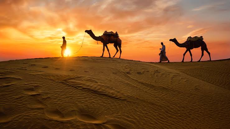 Desert Safari